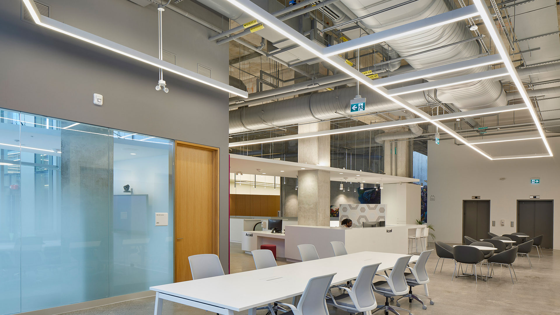 LINIA Product Family